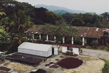 CAFETELERA SAN FELIPE -NATURAL