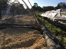 CAFETELERA SAN FELIPE -NATURAL